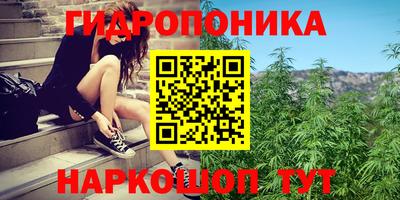 амф Нарткала